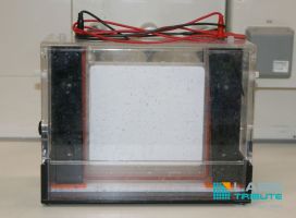 Picture Owl Separation Systems P10DS