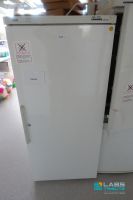 LOT 55