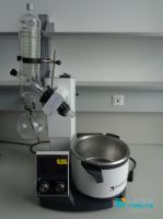 Lot 155