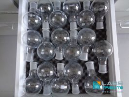 Lot 229